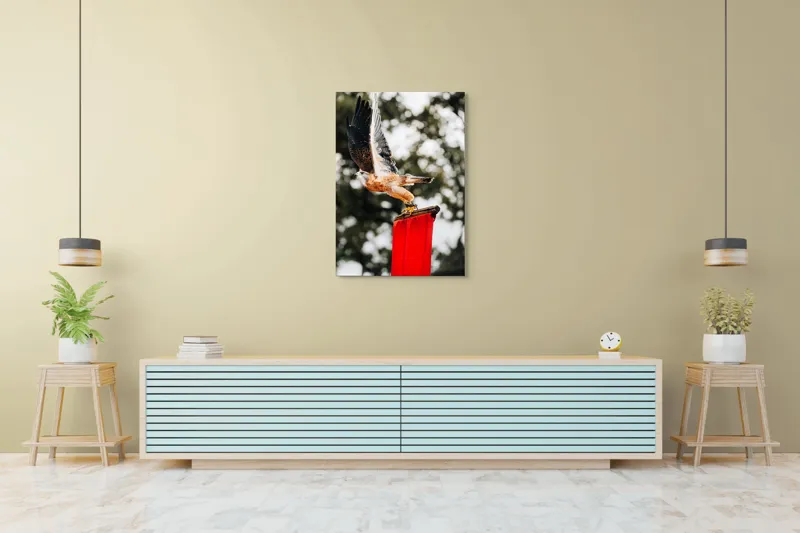 Tablou Canvas, "Zborul șoimului deasupra steagului roșu", Pasăre, Prădătoare, Zbor, Aripi, Cer, Natură, Agile, Vultur, Roșu, Fundal., 70 x 100 cm – poza 5