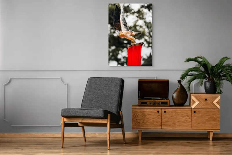 Tablou Canvas, "Zborul șoimului deasupra steagului roșu", Pasăre, Prădătoare, Zbor, Aripi, Cer, Natură, Agile, Vultur, Roșu, Fundal., 70 x 100 cm – poza 6