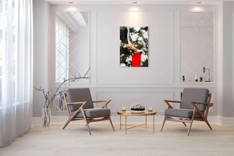 Tablou Canvas, "Zborul șoimului deasupra steagului roșu", Pasăre, Prădătoare, Zbor, Aripi, Cer, Natură, Agile, Vultur, Roșu, Fundal., 70 x 100 cm – poza 8