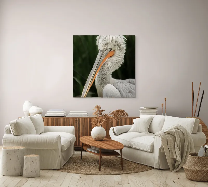 Tablou Canvas, Pene, Lung, Elegant, Gri, Ochi, Cioc, Portocaliu, Verde, Fundal, Textură, 100 x 100 cm – poza 3