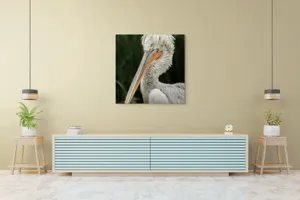 Tablou Canvas, Pene, Lung, Elegant, Gri, Ochi, Cioc, Portocaliu, Verde, Fundal, Textură, 100 x 100 cm – poza 5