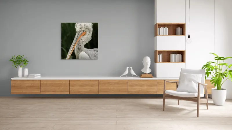Tablou Canvas, Pene, Lung, Elegant, Gri, Ochi, Cioc, Portocaliu, Verde, Fundal, Textură, 100 x 100 cm – poza 8