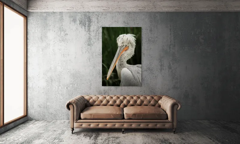 Tablou Canvas, "Nu știu cine este în imagine.", Pene, Lung, Elegant, Gri, Ochi, Cioc, Portocaliu, Verde, Fundal, Textură, 100 x 150 cm – poza 6