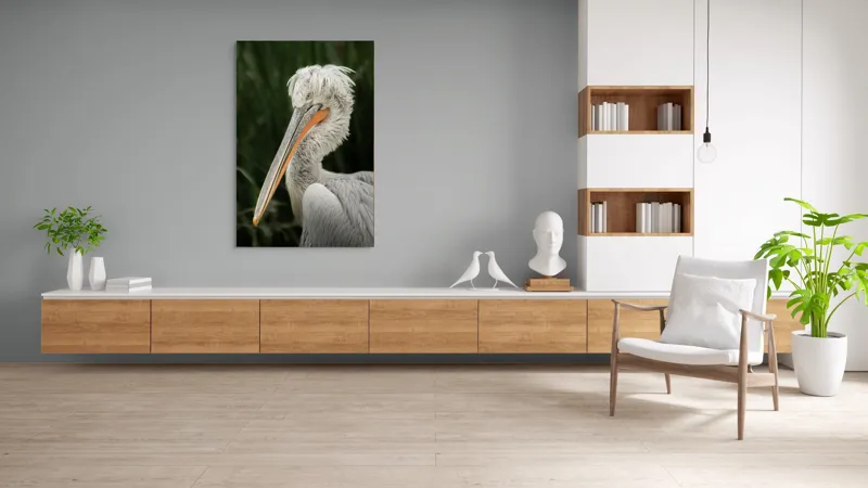 Tablou Canvas, "Nu știu cine este în imagine.", Pene, Lung, Elegant, Gri, Ochi, Cioc, Portocaliu, Verde, Fundal, Textură, 100 x 150 cm – poza 8