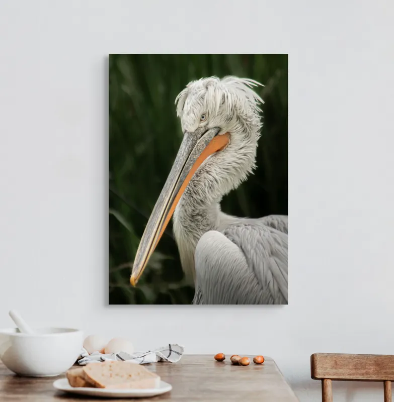 Tablou Canvas, Pene, Lung, Elegant, Gri, Ochi, Cioc, Portocaliu, Verde, Fundal, Textură, 50 x 70 cm – poza 3