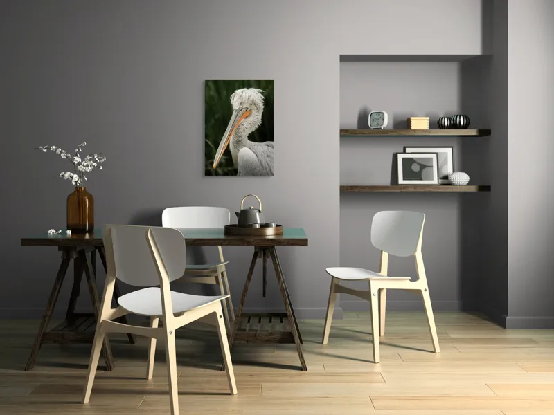 Tablou Canvas, Pene, Lung, Elegant, Gri, Ochi, Cioc, Portocaliu, Verde, Fundal, Textură, 50 x 70 cm – poza 5
