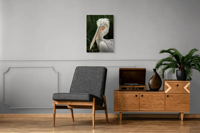 Tablou Canvas, Pene, Lung, Elegant, Gri, Ochi, Cioc, Portocaliu, Verde, Fundal, Textură, 50 x 70 cm – poza 8