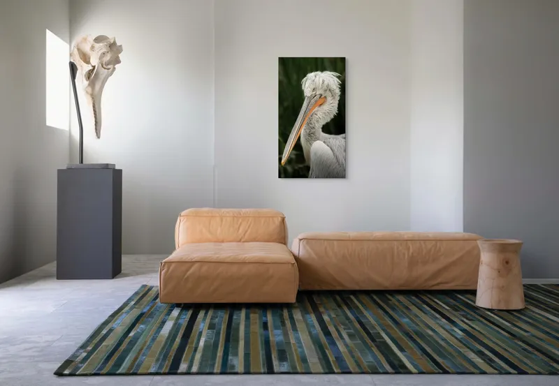 Tablou Canvas, "Nu știu cine este în imagine.", Pene, Lung, Elegant, Gri, Ochi, Cioc, Portocaliu, Verde, Fundal, Textură, 50 x 90 cm – poza 5