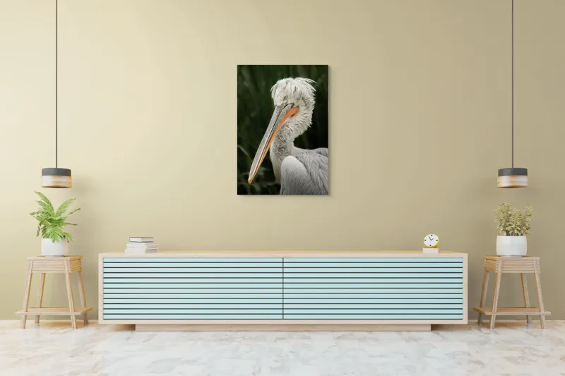 Tablou Canvas, "Nu știu cine este în imagine.", Pene, Lung, Elegant, Gri, Ochi, Cioc, Portocaliu, Verde, Fundal, Textură, 70 x 100 cm – poza 5