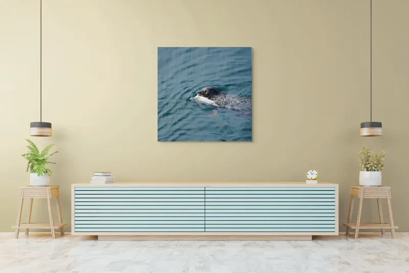 Tablou Canvas, "Foca fericită cu prada ei", Sigiliu, Apă, Peşte, Înot, Natură, Albastru, Adâncime, 100 x 100 cm – poza 5