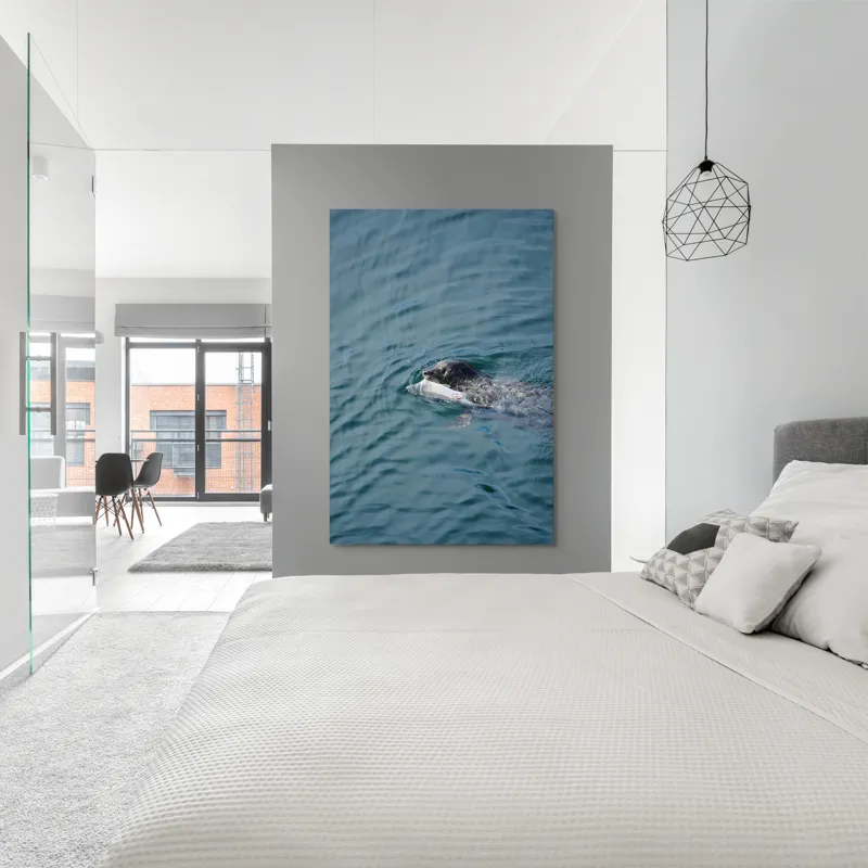 Tablou Canvas, "Foca fericită cu prada ei", Sigiliu, Apă, Peşte, Înot, Natură, Albastru, Adâncime, 100 x 150 cm – poza 5