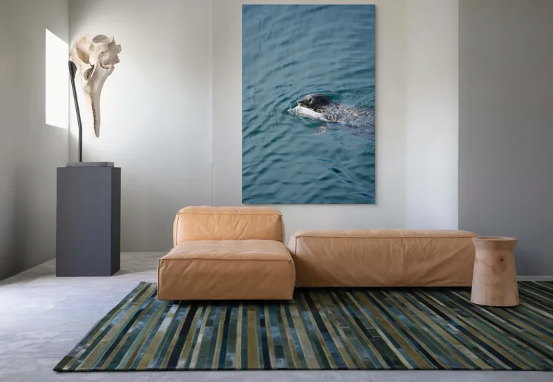 Tablou Canvas, "Foca fericită cu prada ei", Sigiliu, Apă, Peşte, Înot, Natură, Albastru, Adâncime, 100 x 150 cm – poza 7