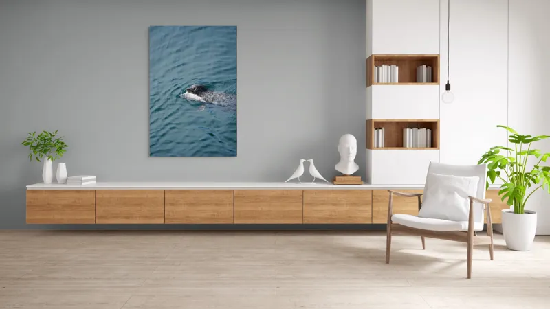 Tablou Canvas, "Foca fericită cu prada ei", Sigiliu, Apă, Peşte, Înot, Natură, Albastru, Adâncime, 100 x 150 cm – poza 8