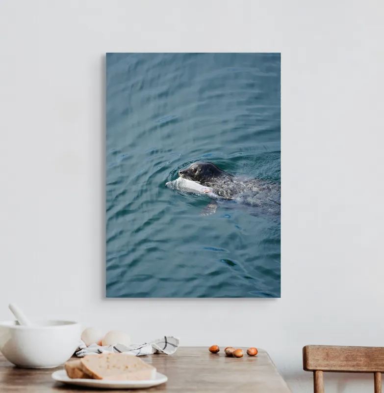 Tablou Canvas, "Foca fericită cu prada ei", Sigiliu, Apă, Peşte, Înot, Natură, Albastru, Adâncime, 50 x 70 cm – poza 3
