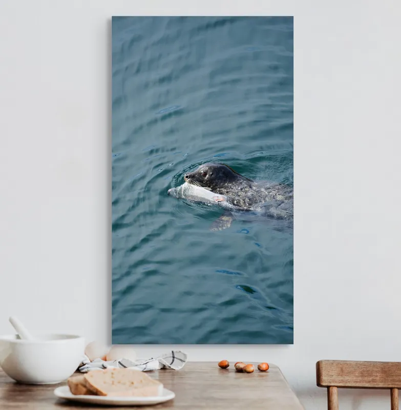 Tablou Canvas, "Foca fericită cu prada ei", Sigiliu, Apă, Peşte, Înot, Natură, Albastru, Adâncime, 50 x 90 cm – poza 3