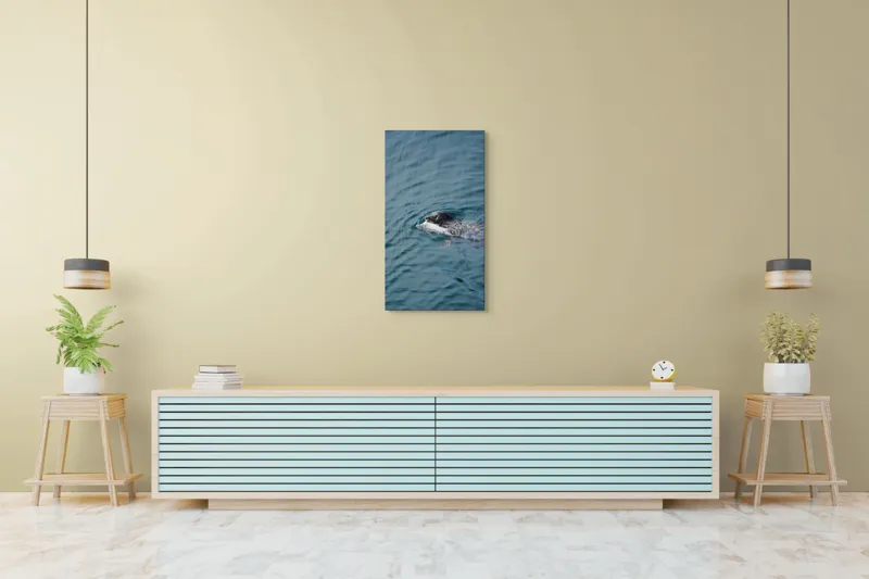 Tablou Canvas, "Foca fericită cu prada ei", Sigiliu, Apă, Peşte, Înot, Natură, Albastru, Adâncime, 50 x 90 cm – poza 6