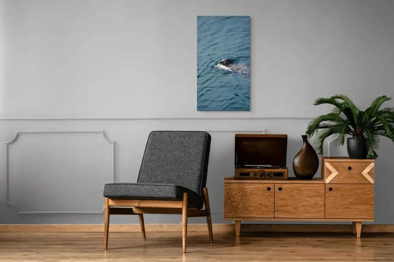 Tablou Canvas, "Foca fericită cu prada ei", Sigiliu, Apă, Peşte, Înot, Natură, Albastru, Adâncime, 50 x 90 cm – poza 8