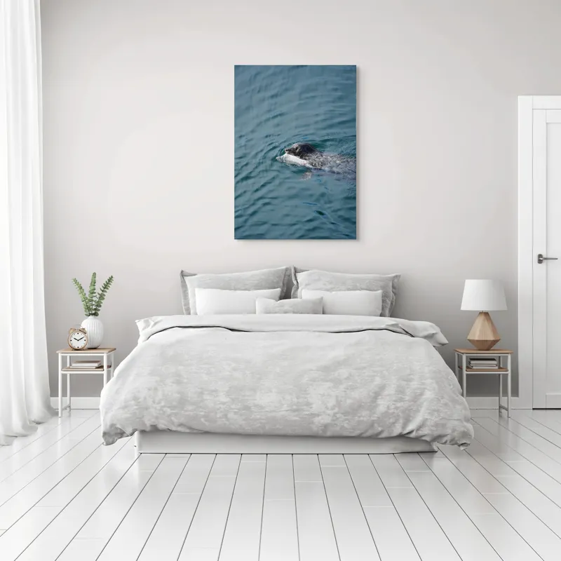 Tablou Canvas, "Foca fericită cu prada ei", Sigiliu, Apă, Peşte, Înot, Natură, Albastru, Adâncime, 70 x 100 cm – poza 3