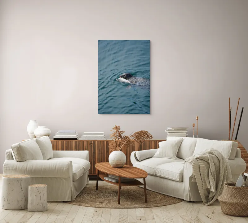 Tablou Canvas, "Foca fericită cu prada ei", Sigiliu, Apă, Peşte, Înot, Natură, Albastru, Adâncime, 70 x 100 cm – poza 4