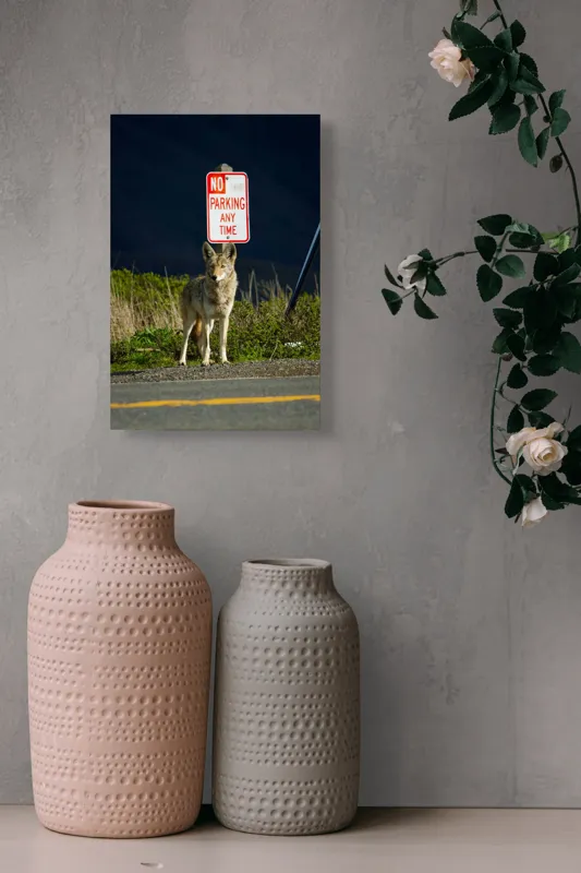 Tablou Canvas, "Vigilent pe marginea drumului pustiu", Coyote, Rutier, Interzis, Natură, Semn, Veghe, Curiozitate, Drum, 26 x 39 cm – poza 6