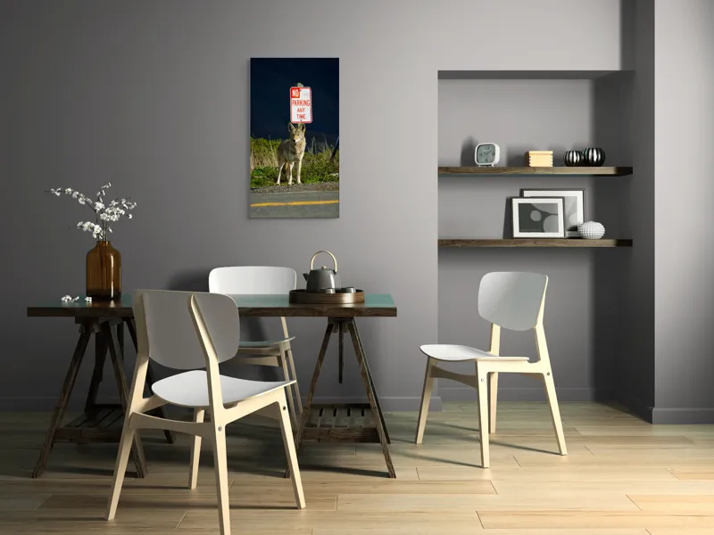 Tablou Canvas, "Vigilent pe marginea drumului pustiu", Coyote, Rutier, Interzis, Natură, Semn, Veghe, Curiozitate, Drum, 50 x 90 cm – poza 4