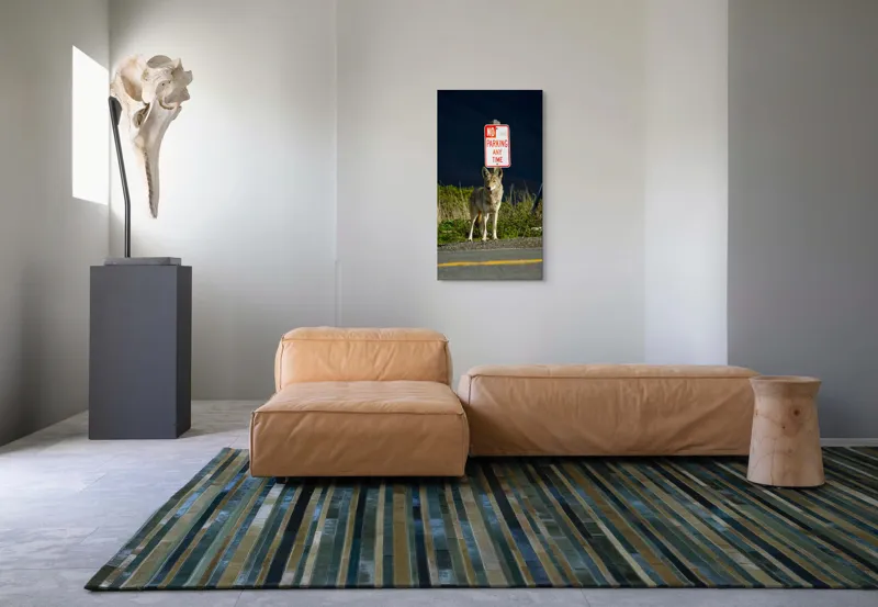 Tablou Canvas, "Vigilent pe marginea drumului pustiu", Coyote, Rutier, Interzis, Natură, Semn, Veghe, Curiozitate, Drum, 50 x 90 cm – poza 5