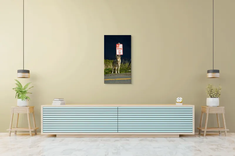 Tablou Canvas, "Vigilent pe marginea drumului pustiu", Coyote, Rutier, Interzis, Natură, Semn, Veghe, Curiozitate, Drum, 50 x 90 cm – poza 6