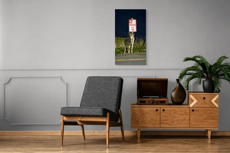 Tablou Canvas, "Vigilent pe marginea drumului pustiu", Coyote, Rutier, Interzis, Natură, Semn, Veghe, Curiozitate, Drum, 50 x 90 cm – poza 8