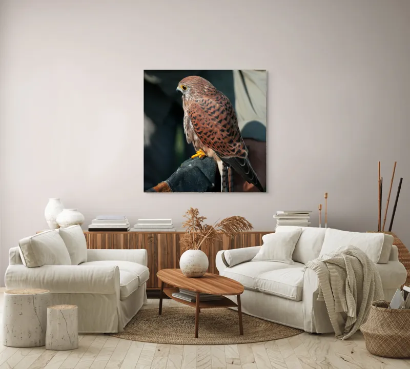 Tablou Canvas, "Șoimul gata de zbor majestuos", 100 x 100 cm – poza 3