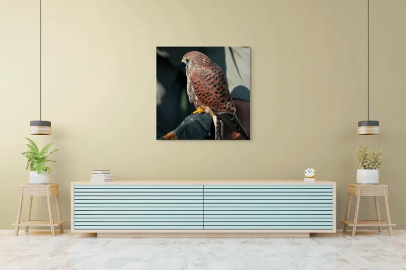 Tablou Canvas, "Șoimul gata de zbor majestuos", 100 x 100 cm – poza 5