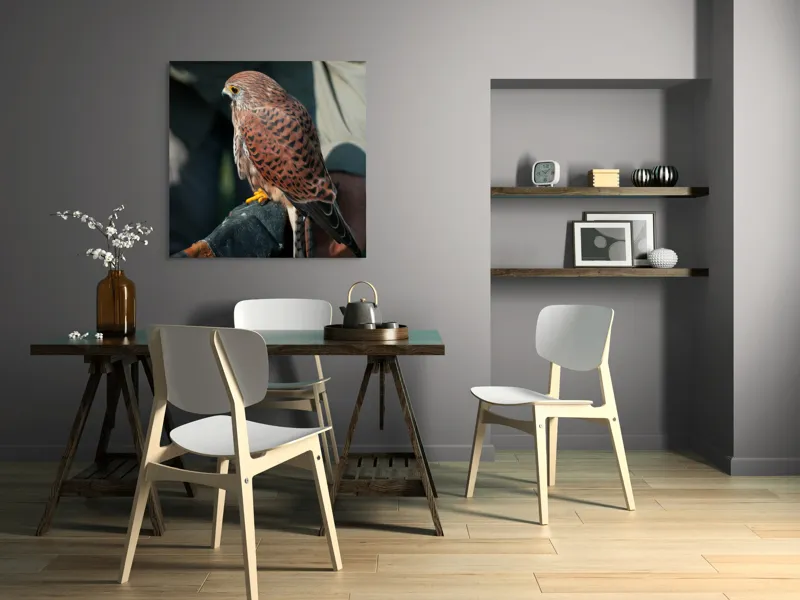 Tablou Canvas, "Șoimul gata de zbor majestuos", 100 x 100 cm – poza 6