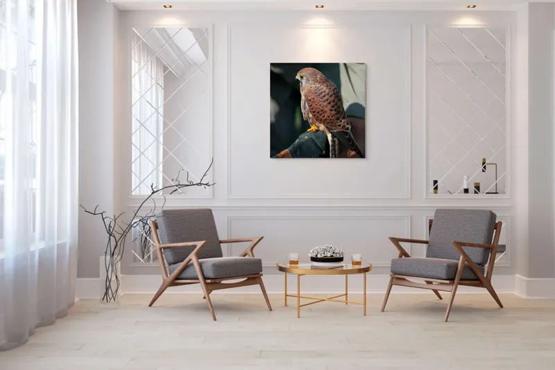 Tablou Canvas, "Șoimul gata de zbor majestuos", 100 x 100 cm – poza 7