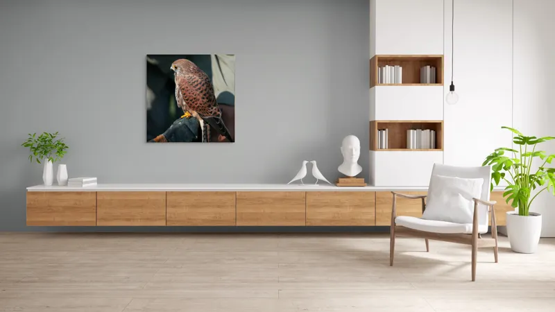 Tablou Canvas, "Șoimul gata de zbor majestuos", 100 x 100 cm – poza 8