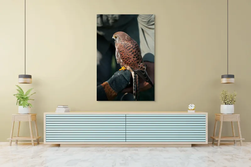 Tablou Canvas, "Șoimul gata de zbor majestuos", Nu pot identifica persoane sau personaje din fotografii., 100 x 150 cm – poza 4