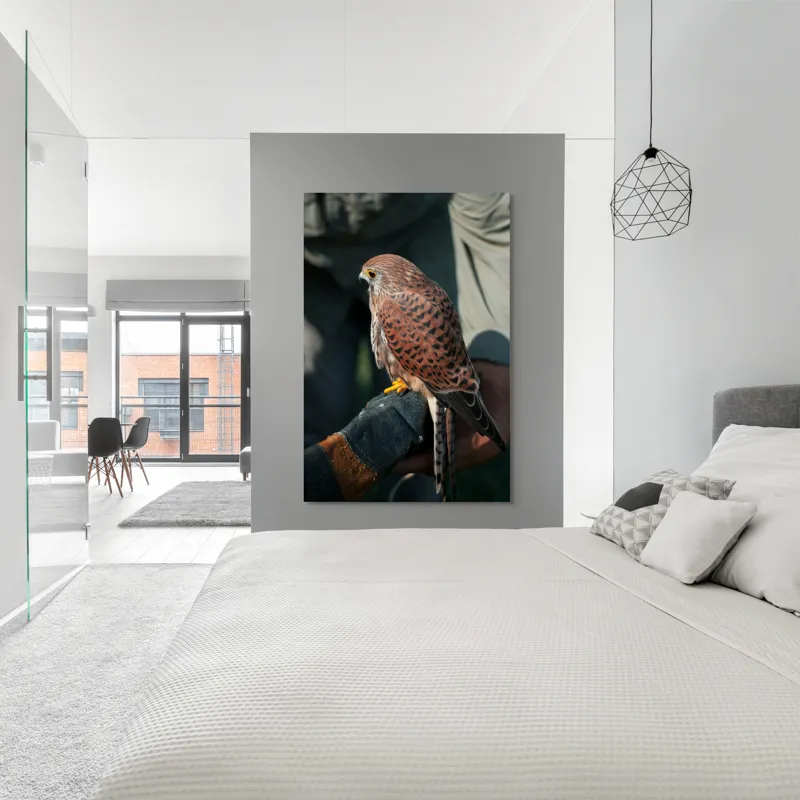 Tablou Canvas, "Șoimul gata de zbor majestuos", Nu pot identifica persoane sau personaje din fotografii., 100 x 150 cm – poza 5
