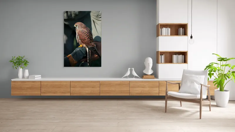 Tablou Canvas, "Șoimul gata de zbor majestuos", Nu pot identifica persoane sau personaje din fotografii., 100 x 150 cm – poza 8