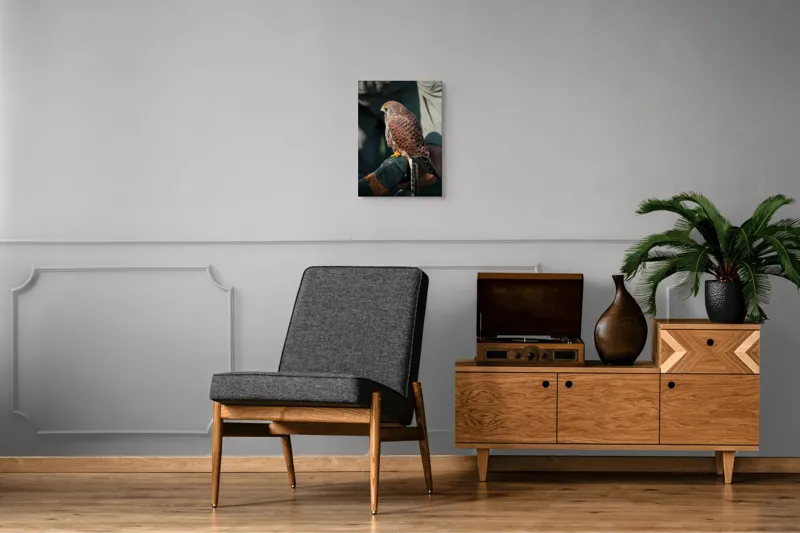 Tablou Canvas, "Șoimul gata de zbor majestuos", Nu pot identifica persoane sau personaje din fotografii., 39 x 54 cm – poza 8