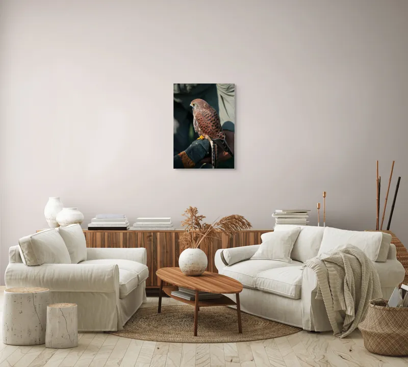Tablou Canvas, "Șoimul gata de zbor majestuos", Nu pot identifica persoane sau personaje din fotografii., 50 x 70 cm – poza 4