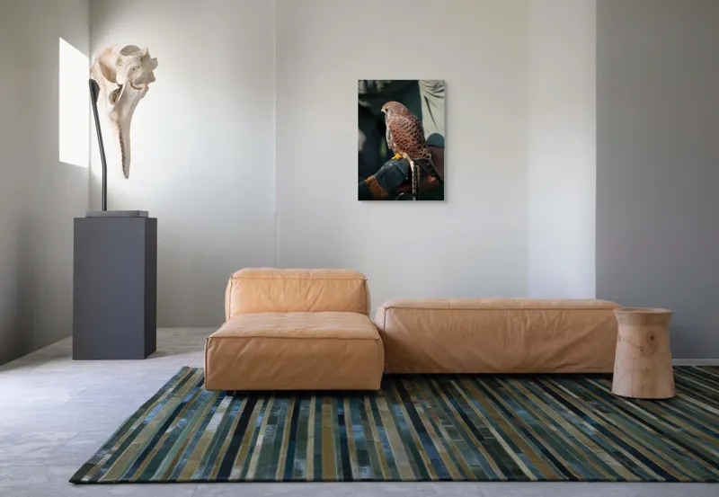 Tablou Canvas, "Șoimul gata de zbor majestuos", Nu pot identifica persoane sau personaje din fotografii., 50 x 70 cm – poza 7