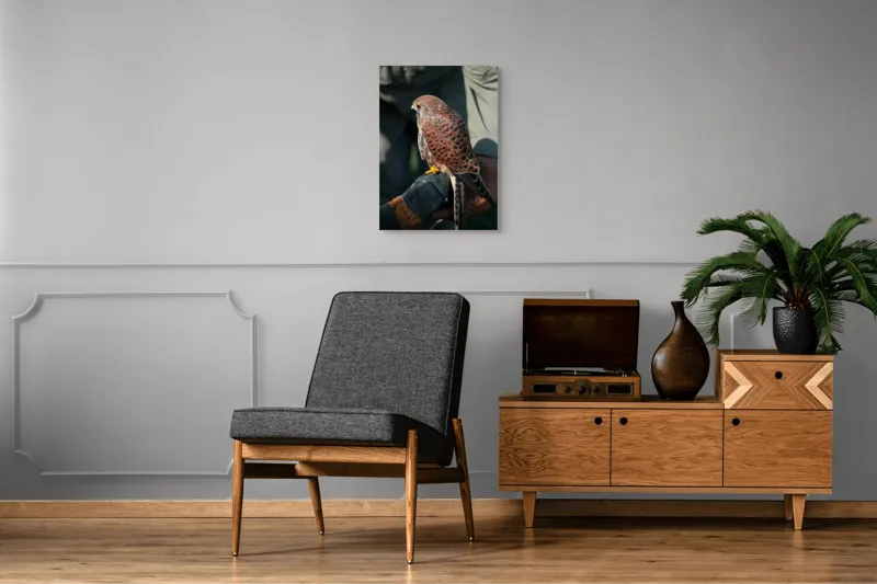 Tablou Canvas, "Șoimul gata de zbor majestuos", Nu pot identifica persoane sau personaje din fotografii., 50 x 70 cm – poza 8