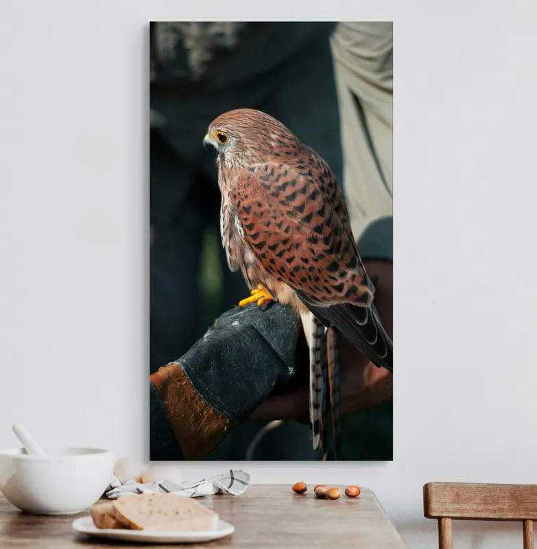 Tablou Canvas, "Șoimul gata de zbor majestuos", Nu pot identifica persoane sau personaje din fotografii., 50 x 90 cm – poza 3