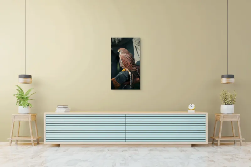 Tablou Canvas, "Șoimul gata de zbor majestuos", Nu pot identifica persoane sau personaje din fotografii., 50 x 90 cm – poza 6