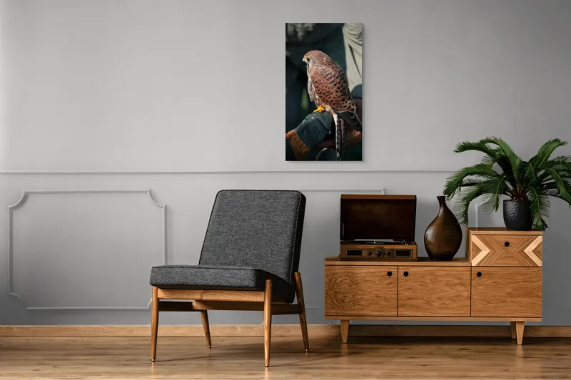 Tablou Canvas, "Șoimul gata de zbor majestuos", Nu pot identifica persoane sau personaje din fotografii., 50 x 90 cm – poza 8