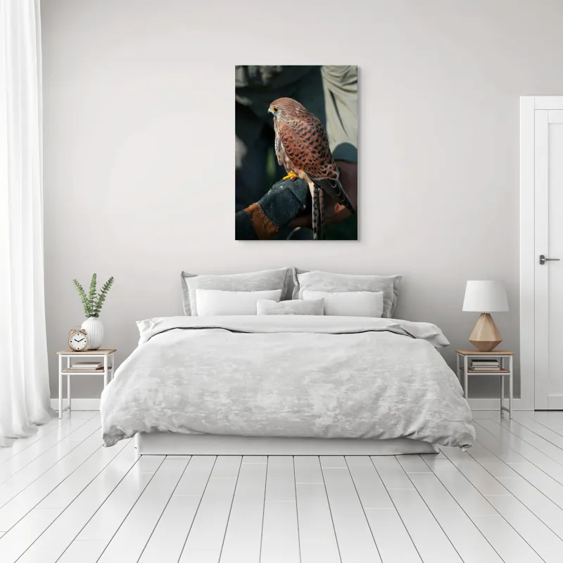 Tablou Canvas, "Șoimul gata de zbor majestuos", 70 x 100 cm – poza 3
