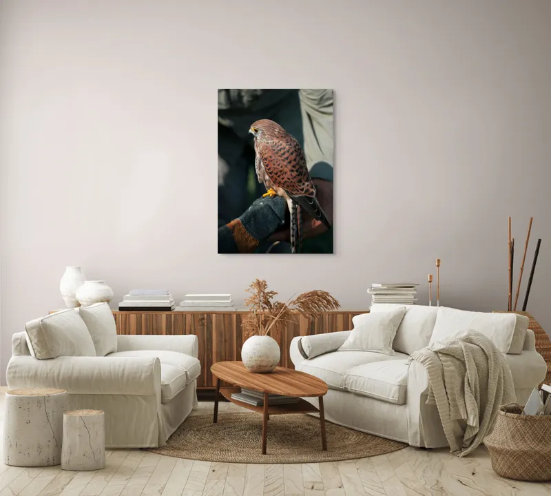 Tablou Canvas, "Șoimul gata de zbor majestuos", 70 x 100 cm – poza 4