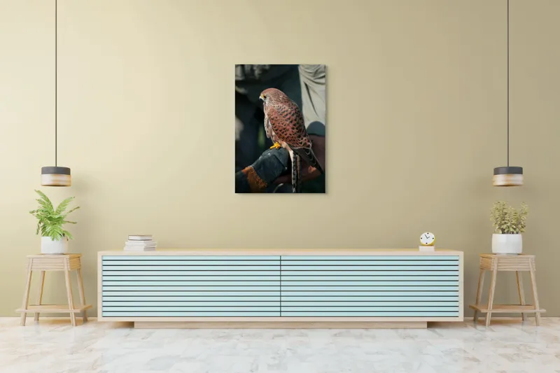 Tablou Canvas, "Șoimul gata de zbor majestuos", 70 x 100 cm – poza 5