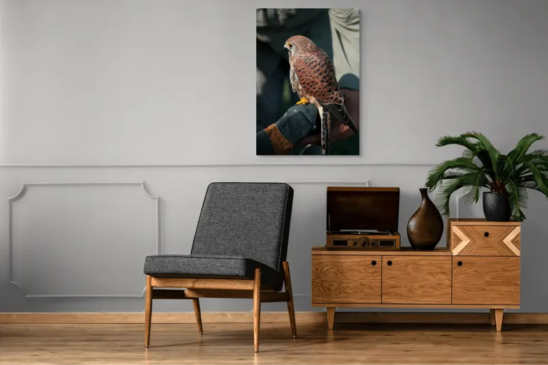 Tablou Canvas, "Șoimul gata de zbor majestuos", 70 x 100 cm – poza 6