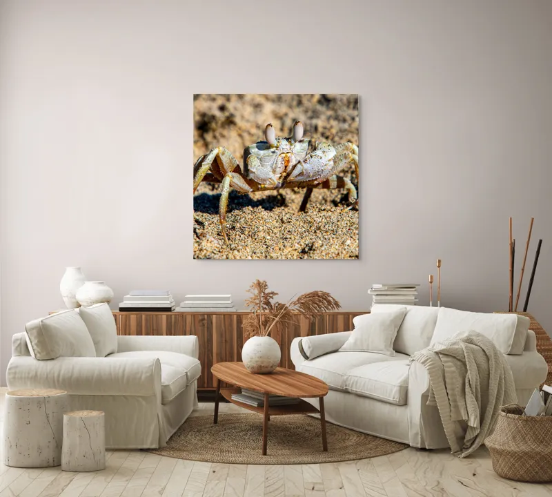 Tablou Canvas, "Crabul invizibil în nisipul auriu", Nisip, Crab, Ochii, Gheruțe, Textură, Natură, Mișcare, Culoare, Detaliu, Plajă, 100 x 100 cm – poza 3