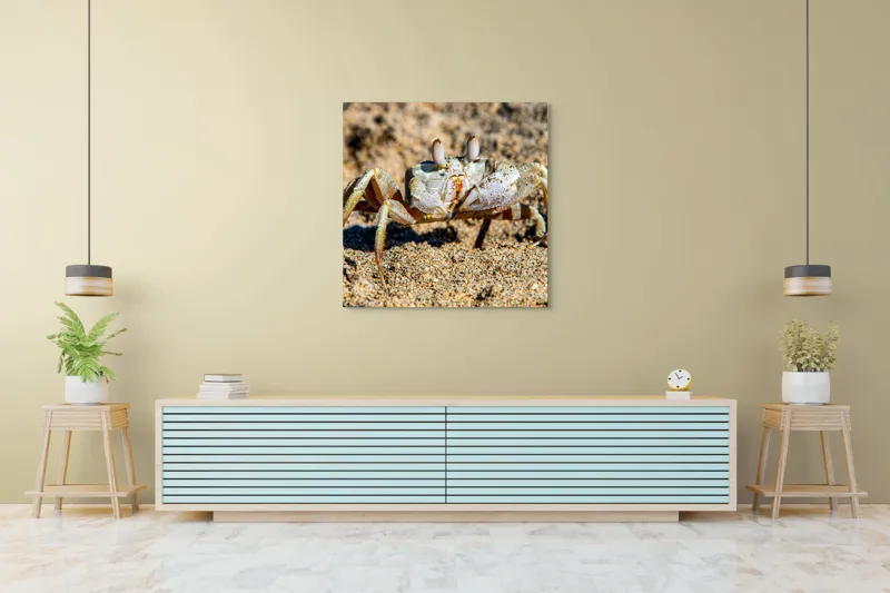 Tablou Canvas, "Crabul invizibil în nisipul auriu", Nisip, Crab, Ochii, Gheruțe, Textură, Natură, Mișcare, Culoare, Detaliu, Plajă, 100 x 100 cm – poza 5