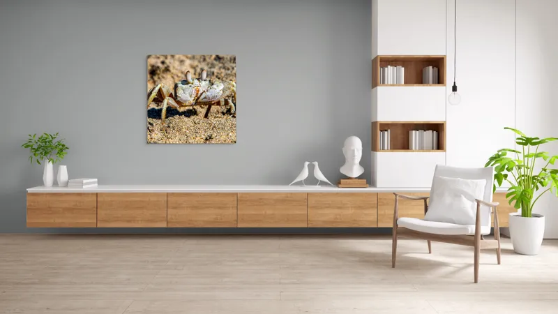 Tablou Canvas, "Crabul invizibil în nisipul auriu", Nisip, Crab, Ochii, Gheruțe, Textură, Natură, Mișcare, Culoare, Detaliu, Plajă, 100 x 100 cm – poza 8